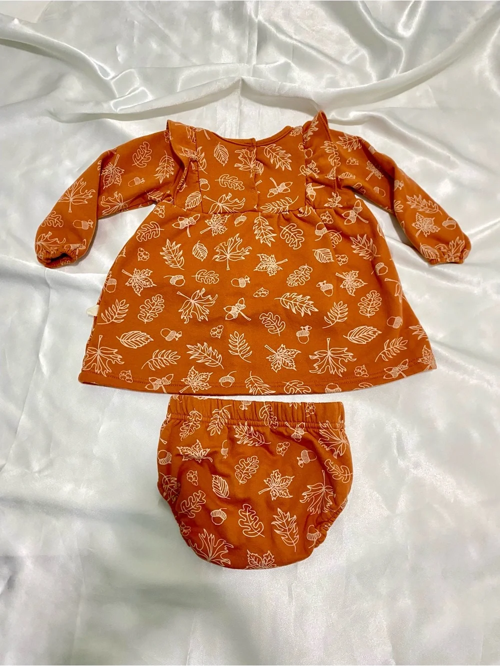 Baby Girl Rust Orange Leaf-Print Dress with Matching Diaper Cover